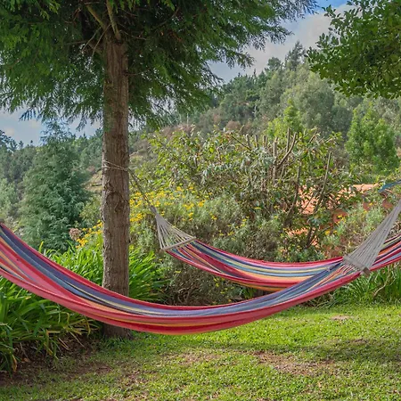 Cantinho Rural Vakantiehuis Camacha (Madeira)