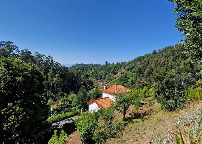 Cantinho Rural * Camacha (Madeira)