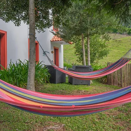 Hébergement de vacances Cantinho Rural Camacha (Madeira)