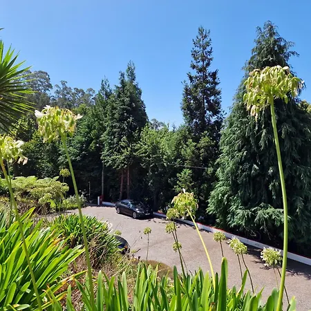 Cantinho Rural Hébergement de vacances *