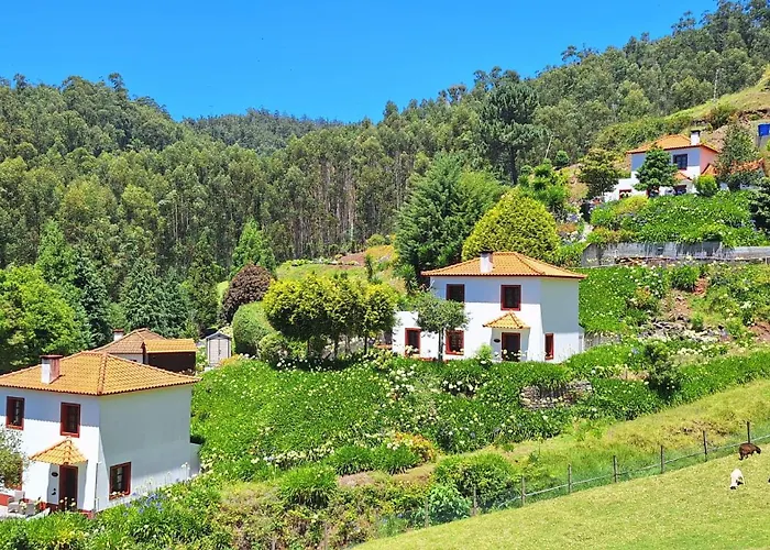Vakantiehuis Cantinho Rural Camacha (Madeira)