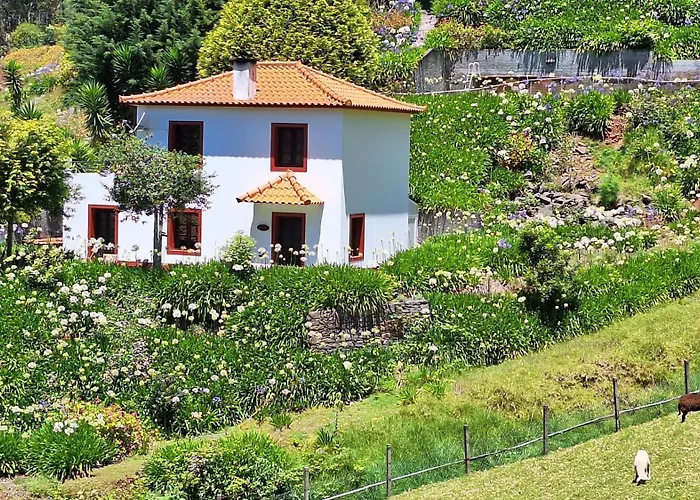 Cantinho Rural Camacha (Madeira)